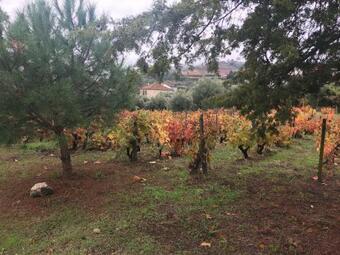 Apartamento Casa Da Farm�cia