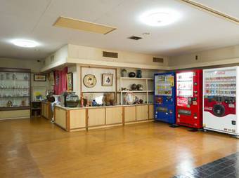 Bed & Breakfast Onsen Inn 36so