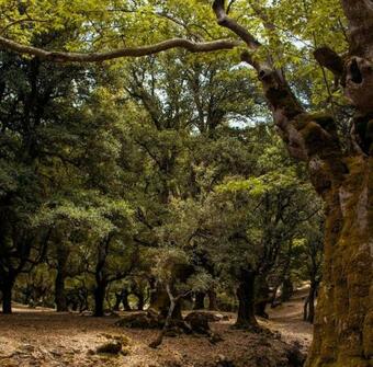 Apartamento Entire Home