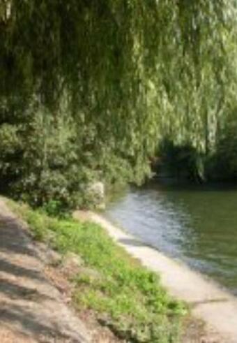 Petite Maison Sur Les Traces De Van Gogh