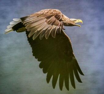 Croft41 - Luxury Accommodation With Hot Tub