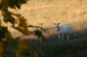 Hostal Chata Kov�rna