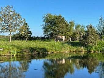 Apartamento Fjordviking - Urlaub Auf Dem Bauernhof