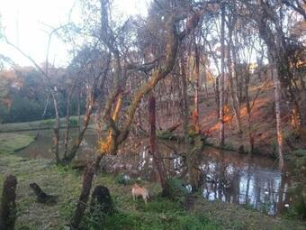 Cabana Aconchegante Em Bom Retiro