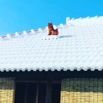 Apartamento ????????