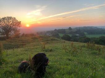 Stunning 1-bed Cottage In Bridport