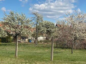 Pr�zdninov� D?m Sorada