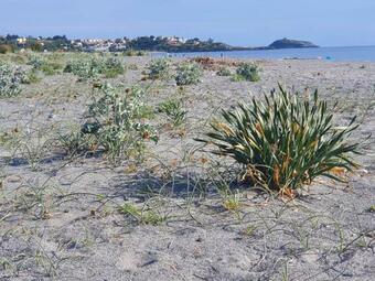 Bed & Breakfast Magna Grecia