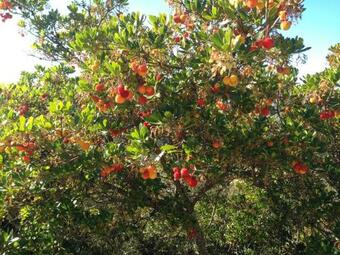 Apartamentos Rurales En Plena Sierra