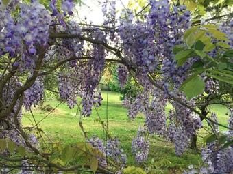 Bed & Breakfast La Stregatta