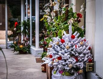 Hotel Auberge Du Bon Laboureur Chenonceaux