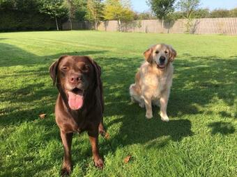 Apartamento Derryvahan House