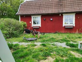 Bed & Breakfast Lyckebo