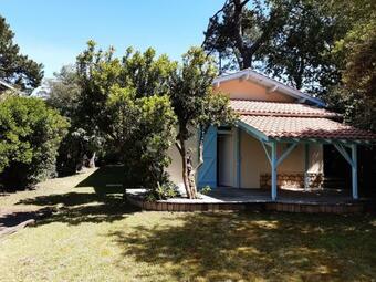 Ver fotos