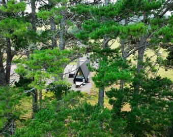 Pine Forest 3 Glenquarry 4pm Check Out Sundays Except Peak Seasons