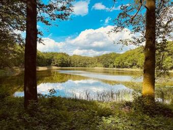 The Barn - Die Scheune