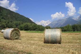 Apartamento Le Petit Coeur Residence De Montagne