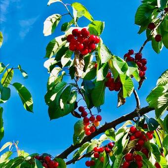 Agroturismo Quinta Dos Carvalhos