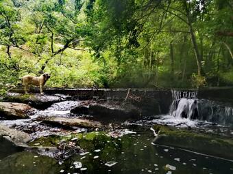 Apartamento Haraneko Errota Goiatzena