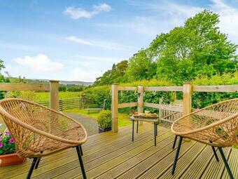 Cwtch Enrico - Uk39064