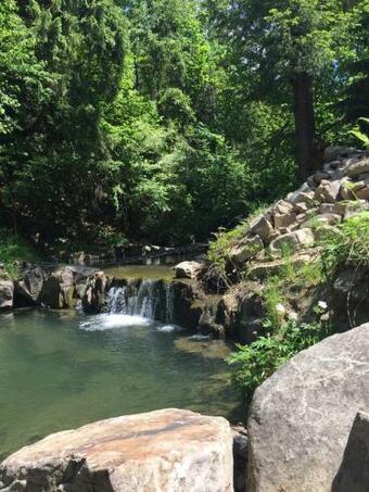 Chatka Z Saun? Nad Rzek?