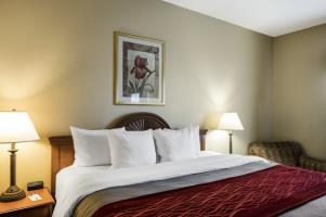 Hotel Comfort Inn & Suites Houma