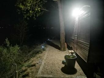 "carul�t Verde" Nel Bosco