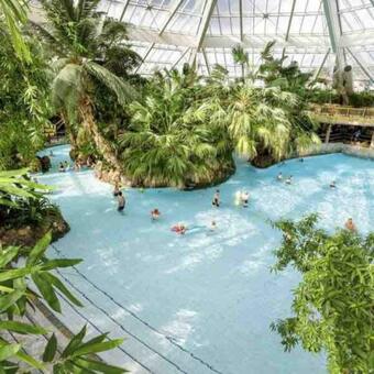 G�te Plein C?ur De Sologne