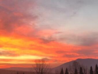 Tentrr Signature Site - On Danby Pond