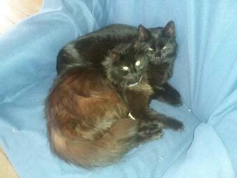 Agroturismo Haus Sagmeister