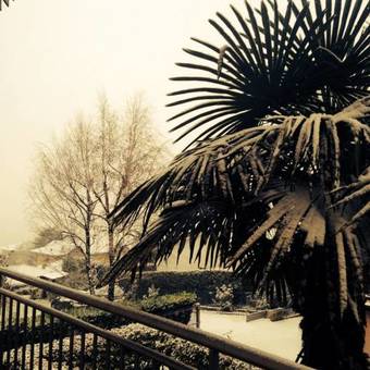 Bed And Breakfast Anna