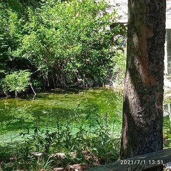 Agroturismo Via Dinarica Guesthouse