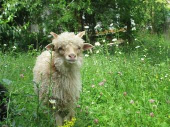 Apartamento Eco-logis Du Vignoble