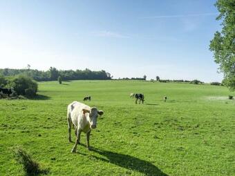 Unique Holiday Home In Cerfontaine With Garden