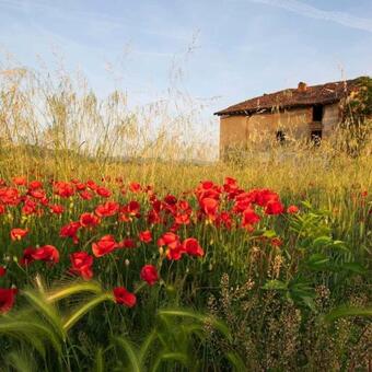Apartamento Orizzonte Calmo