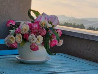 Villa ???? ?????? ??? ??? ???