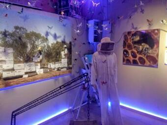 Apartamento ????? ?????? ???? ?????