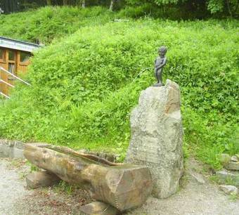 Hotel H�tel Restaurant Du Chalet