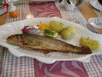 Hotel Klosterweiherhof