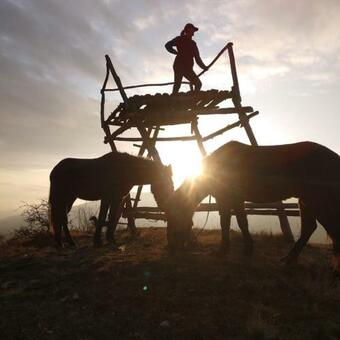 Agroturismo The Countryside Retreat