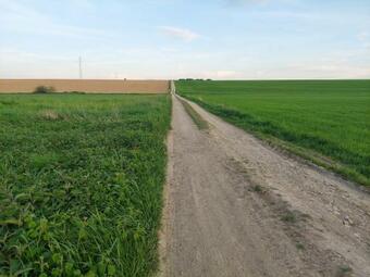 Agroturystyka Bierna. Gospodarstwo Rolne.