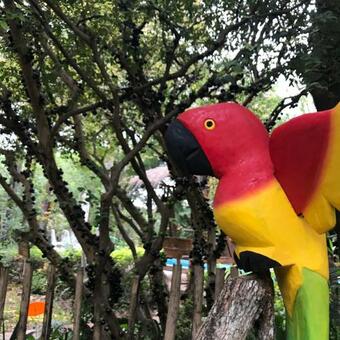 Agroturismo Los Lapachos