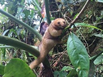Albergue La Marta Refugio De Vida Silvestre