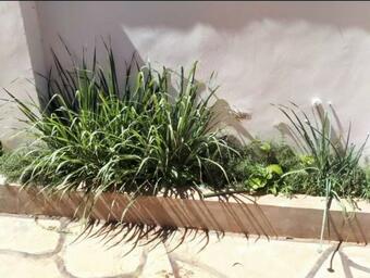 Scenic Villas - Taita Taveta - Kenya