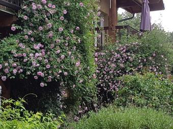 Apartamento � La Petite Maison