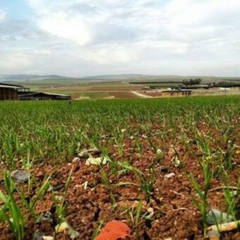 Workation Experience In Beautiful Village