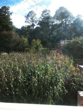 Apartamento Caba�as La Malinche