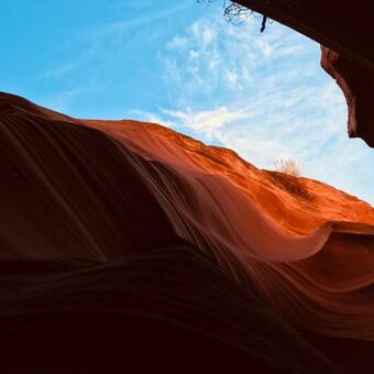 Antelope Hogan Bed And Breakfast, Llc