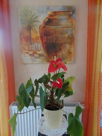 Ferienhaus Vogtlandresidenz