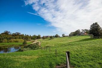 Cow Parsley Shepherd's Hut